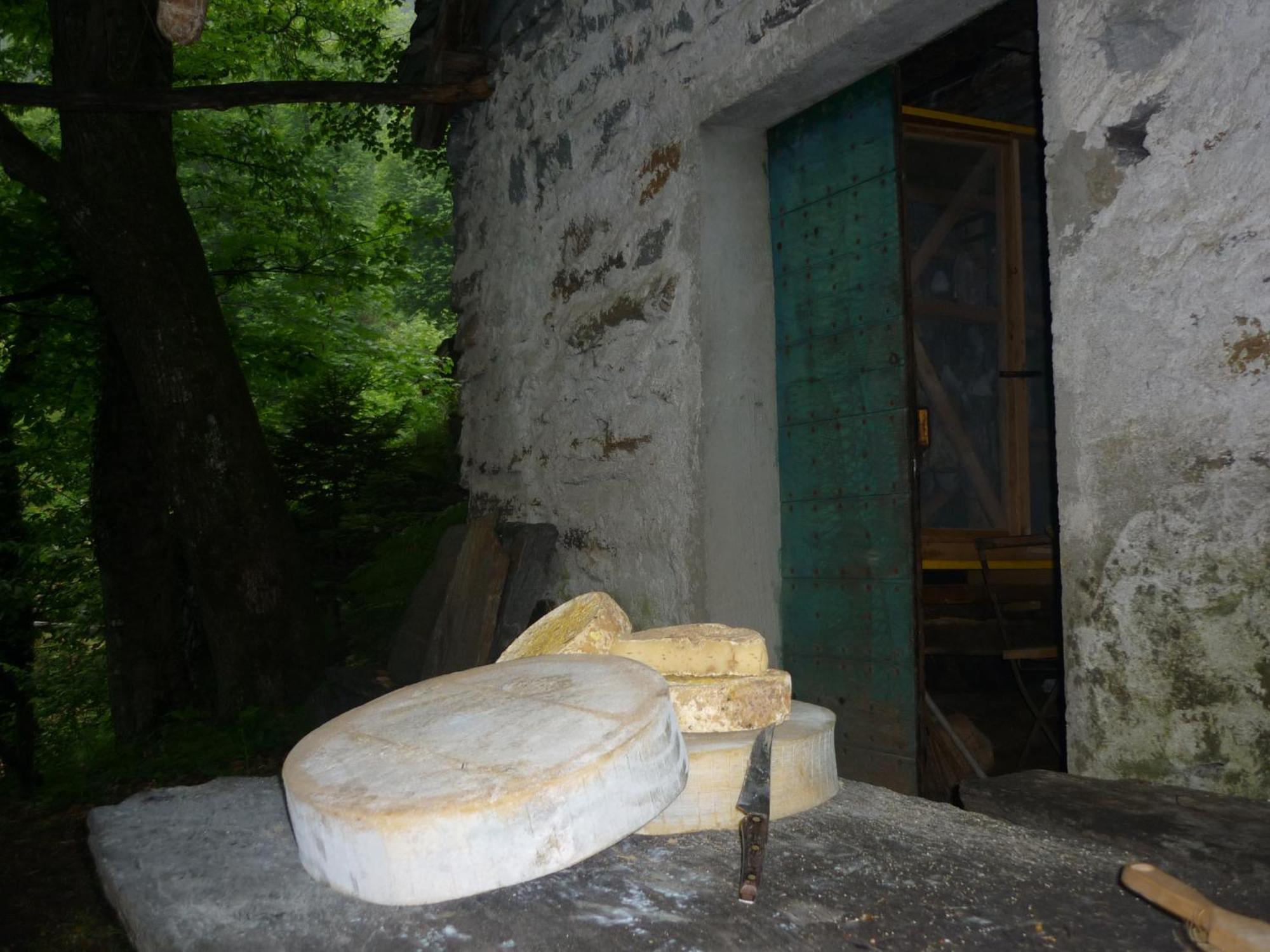 Bed and Breakfast Da Erminia Verdabbio Exteriér fotografie